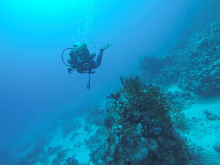 From Hurghada: Shore Diving With Hotel Transfers - Activity Overview