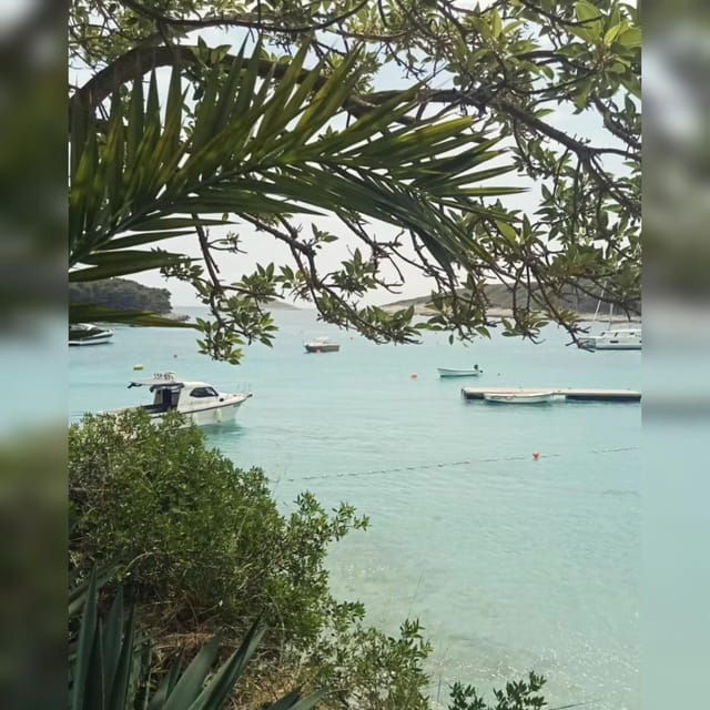 From Hvar: Pakleni Islands Private Boat Tour - Good To Know