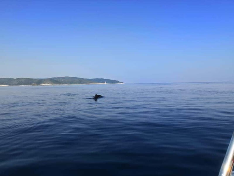 From Hvar: Unforgetable Tour to the Island Vis and Blue Cave - Authentic Experiences and Real Feedback