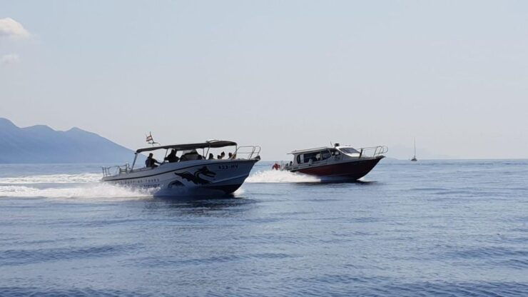 From Hvar: Unforgetable Tour to The Island Vis and Blue Cave - Tour Details