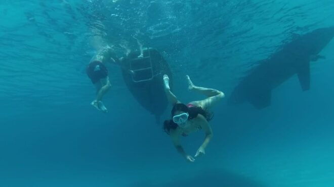 From Ibiza: Espalmador and Formentera Private Catamaran Trip - Important Information