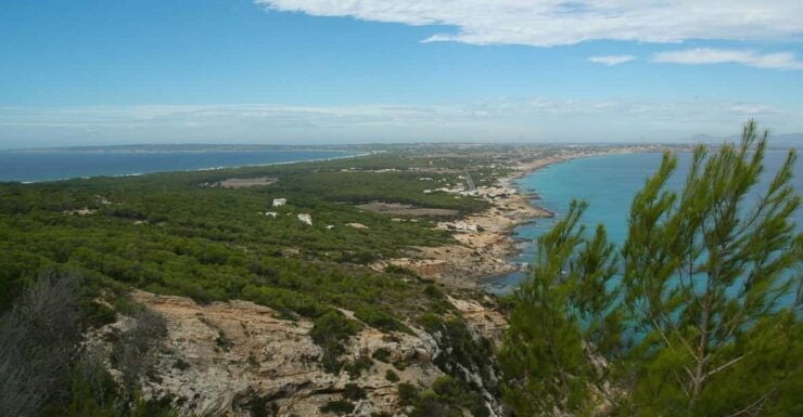 From Ibiza: Ferry and Guided Bus Excursion in Formentera - Good To Know
