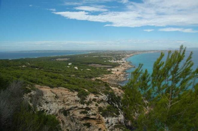 From Ibiza: Ferry and Guided Bus Excursion in Formentera - Itinerary Highlights
