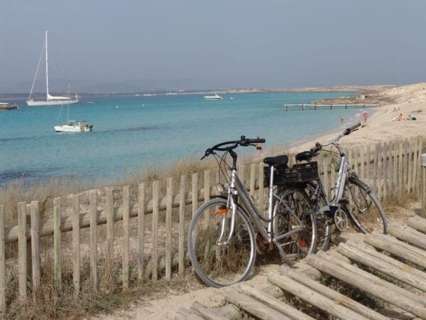 From Ibiza: Ferry and Guided Bus Excursion in Formentera - Inclusion Details