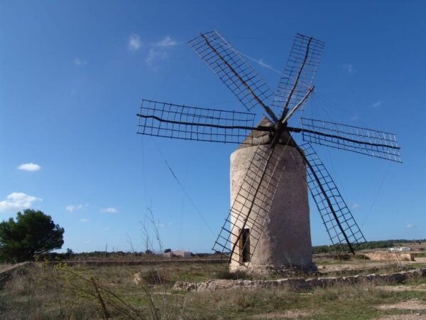 From Ibiza: Ferry and Guided Bus Excursion in Formentera - Customer Feedback