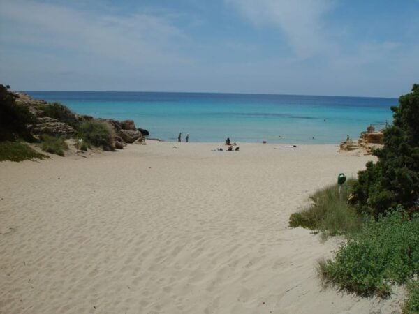 From Ibiza: Ferry and Guided Bus Excursion in Formentera - Frequently Asked Questions