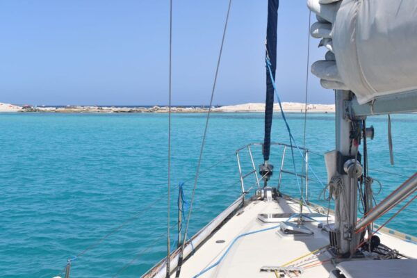 From Ibiza: Island Highlights & Formentera Private Boat Trip - Frequently Asked Questions