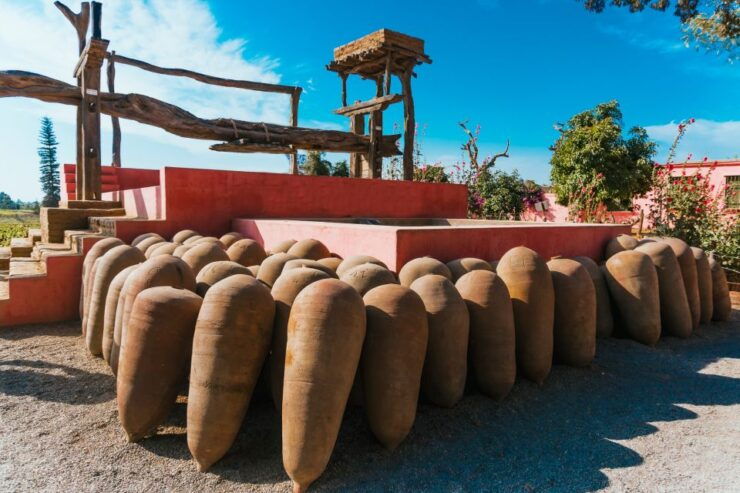 From Ica or Huacachina: Wine and Pisco Vineyards Tour - Good To Know