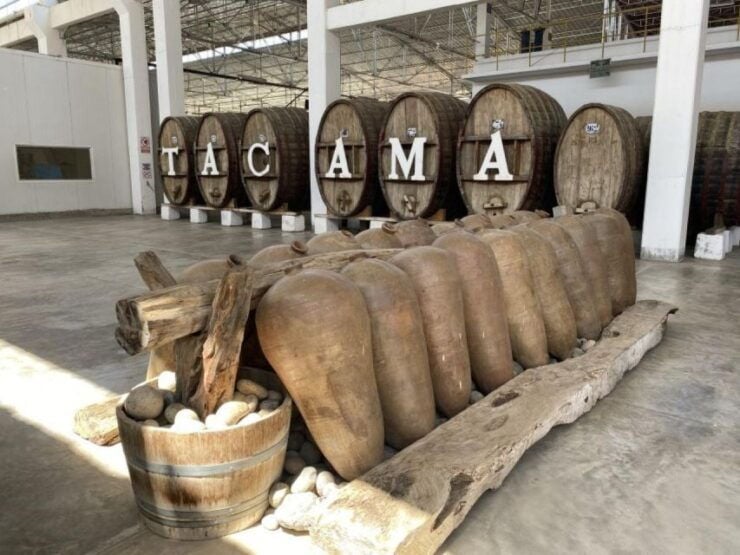 From Ica: Wine and Pisco Tour Free Tasting - Activity Overview