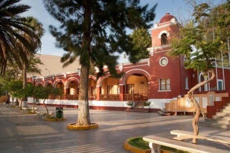 From Ica: Wine and Pisco Tour Free Tasting - Experience Highlights