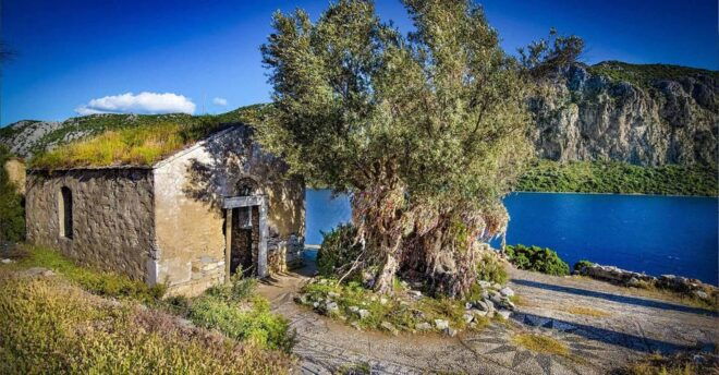 From Icmeler: Turkish Aegean Coast Boat Trip With Lunch - Lunch and Refreshments