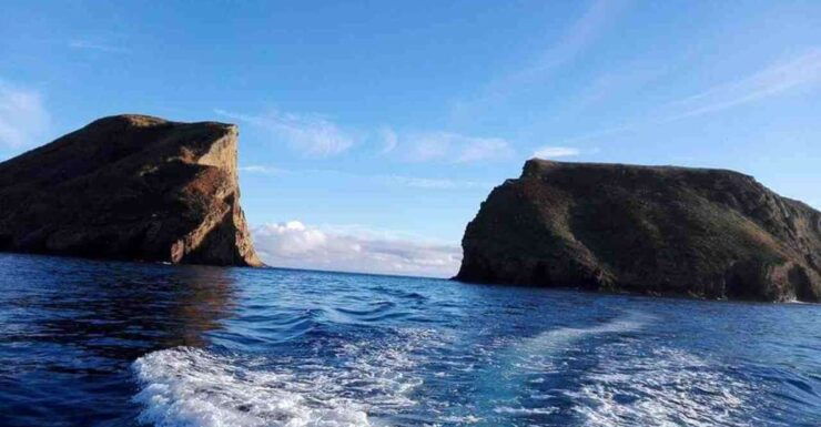 From Ilha Terceira: Ilhéu Das Cabras Snorkeling Boat Tour - Highlights