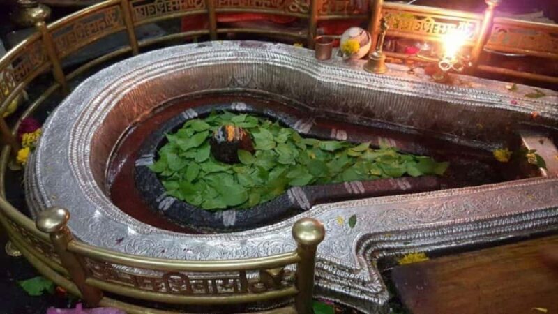From Indore:- Full Day Omkareshwar Jyotirlinga Guided Tour - Authentic Insights from Traveler Experiences