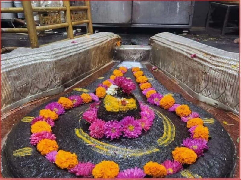 From Indore:- Full Day Omkareshwar Jyotirlinga Guided Tour - Good To Know