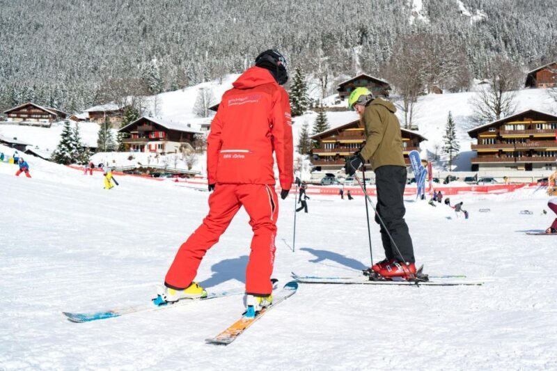 From Interlaken: Afternoon Ski Experience for Beginners - Who Would Love This Experience?