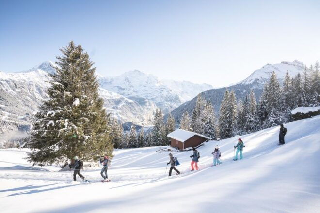 From Interlaken: Guided Snowshoe Tour Around Isenfluh - Booking and Cancellation Details