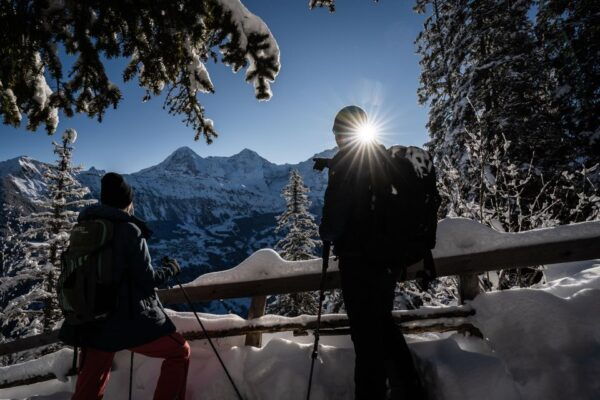 From Interlaken: Guided Snowshoe Tour Around Isenfluh - Transportation and Meeting Point