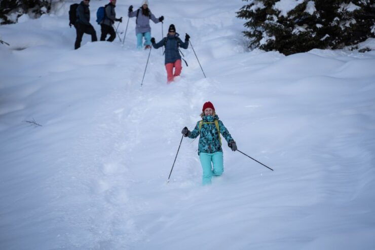From Interlaken: Guided Snowshoe Tour Around Isenfluh - Snowshoe Tour Overview