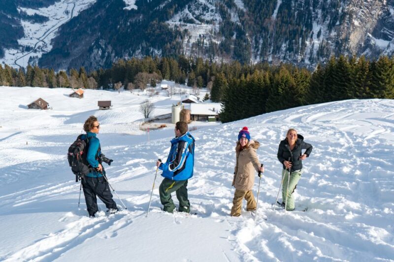 From Interlaken: Guided Snowshoe Tour - The Sum Up