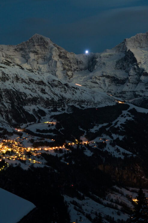 From Interlaken: Night Sledding - Experience Highlights