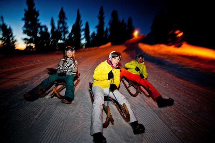 From Interlaken: Night Sledding With Cheese Fondue Dinner - Good To Know