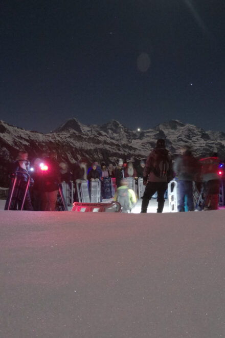 From Interlaken: Night Sledding With Cheese Fondue Dinner - Inclusions and Exclusions