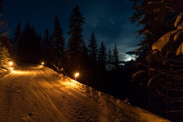 From Interlaken: Night Sledding With Cheese Fondue Dinner - Booking and Cancellation Policy