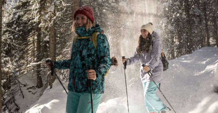 From Interlaken: Wetterhorn Trail Snowshoe Hiking Tour - Tour Highlights