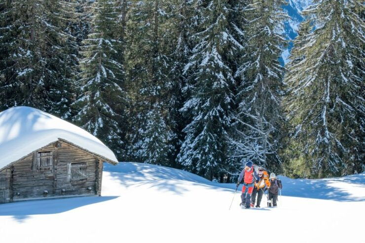 From Interlaken: Wetterhorn Trail Snowshoe Hiking Tour - Tour Details