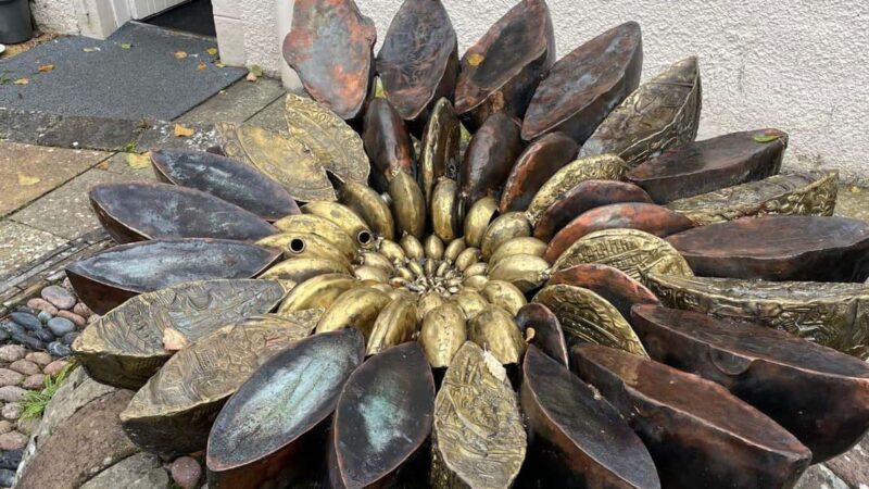 From Inverness: Black Isle Tour with Dolphin Spotting - Good To Know