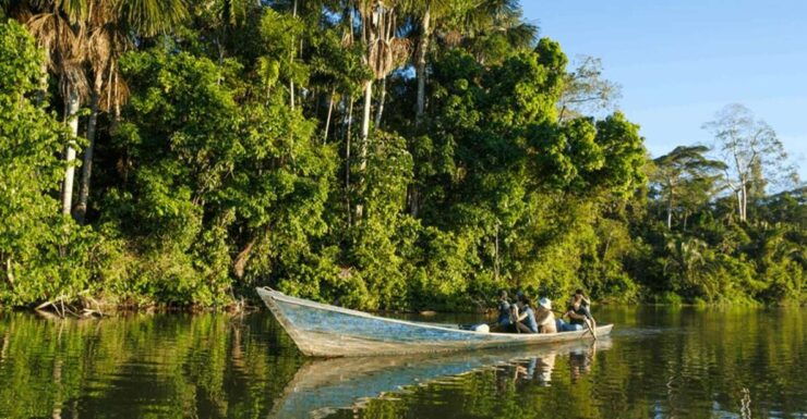 From Iquitos: 2 Days/1 Night in Amazonian Lodge With Meals - Lodge Accommodations and Meal Inclusions