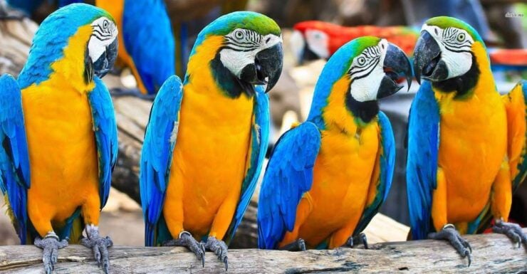 From Iquitos: 3-Day Amazon Jungle Adventure Trip - Itinerary Overview