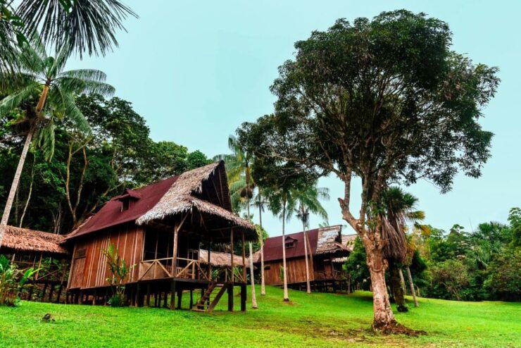 From Iquitos: 3-day Pacaya Samiria National Reserve Tour - Experience Highlights
