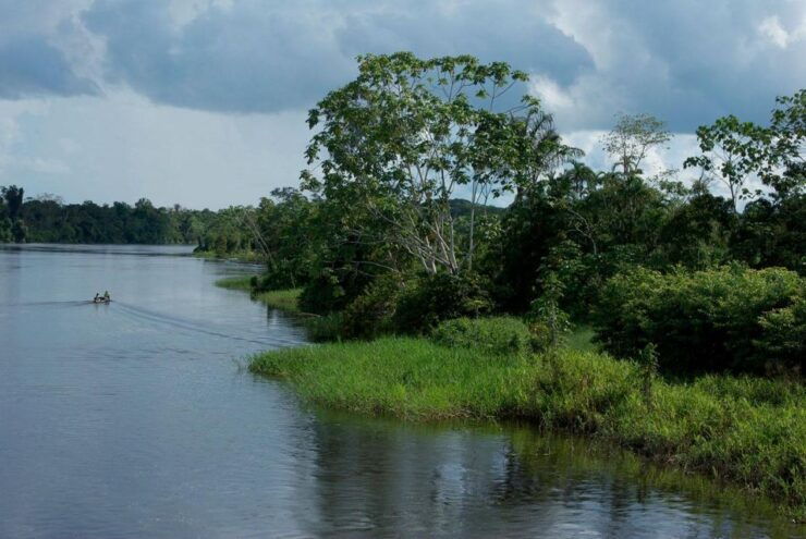 From Iquitos 3-Day Tour Pacaya Samiria National Reserve - Tour Experience