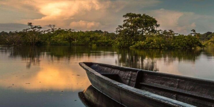 From Iquitos 4 Day Yanayacu River Tour With Bird Watching - Unforgettable Experience Highlights