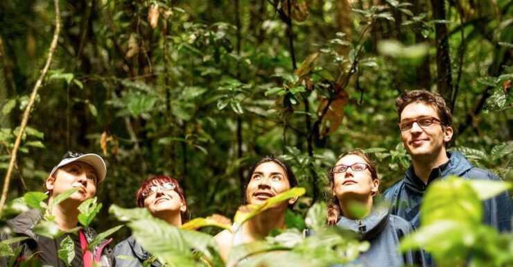 From Iquitos: Amazonas 2 Days 1 Night - Activity Details