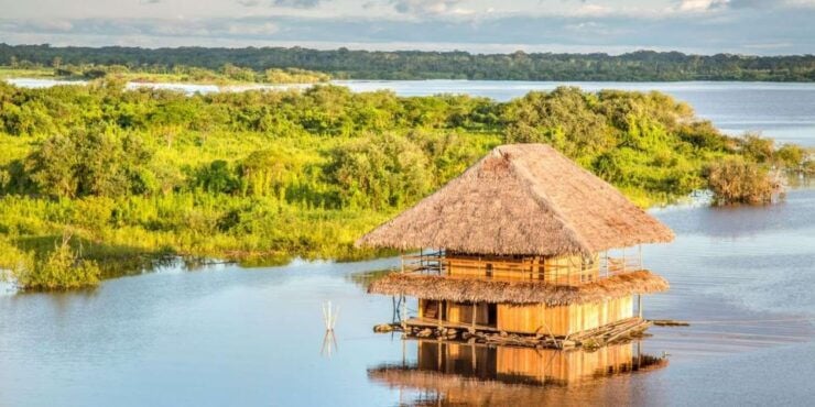 From Iquitos Boat Trip on the Amazon and Itaya Rivers - Experience Highlights