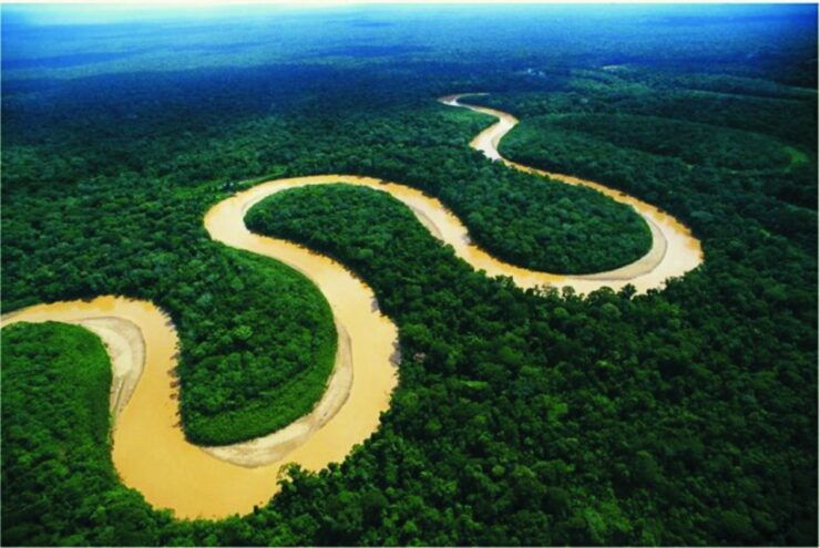 From Iquitos: Full Day Venice Loretana - Tour Guide Information