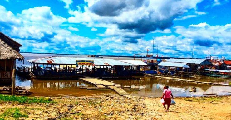 From Iquitos: Full Day Wild Life - Wildlife Exploration in Iquitos