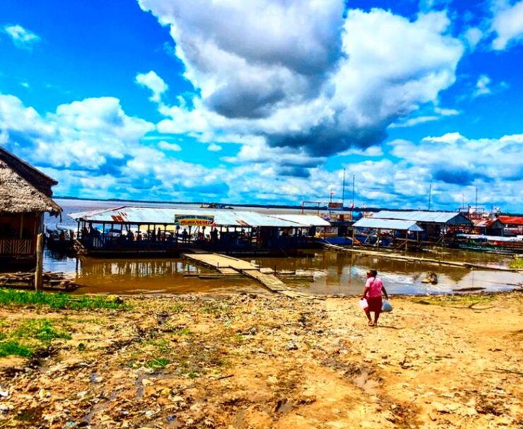 From Iquitos: Full Day Wild Life - Duration and Language Options
