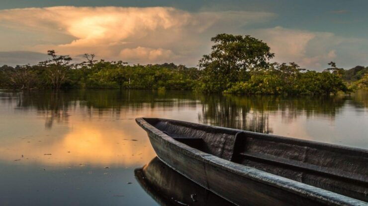 From Iquitos: Full Day Wonderful Wildlife - Unforgettable Amazon Serpentarium Visit