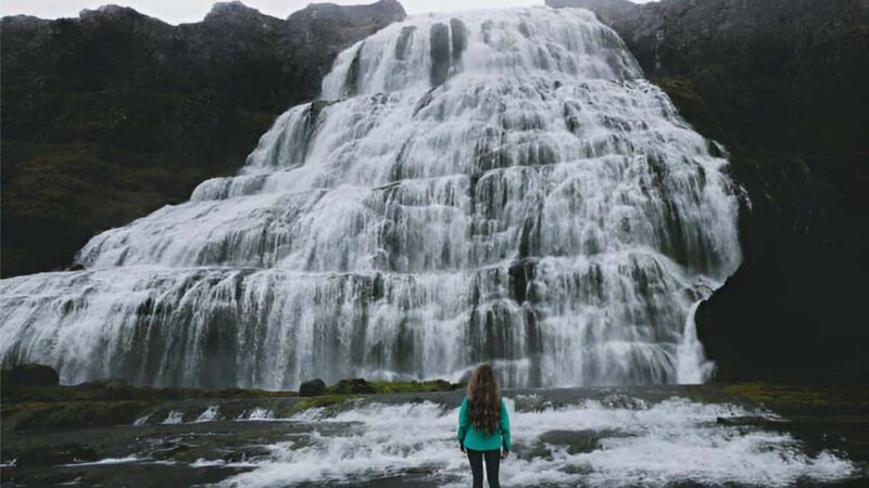 From Isafjordur: Private Dynjandi Waterfall & Farm Tour - The Sum Up: Who Will Love This Tour