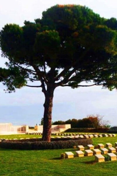 From Istanbul: 2 Day Gallipoli and Troy Tour With Hotel - Included in the Tour