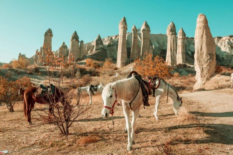 From Istanbul: All Inclusive Private Day Trip to Cappadocia - Tour Booking Details and Options
