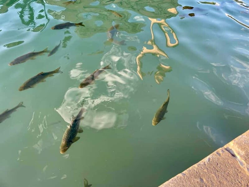 from Istanbul: anlurfa, Göbeklitepe & Balklgöl Day Trip - Good To Know