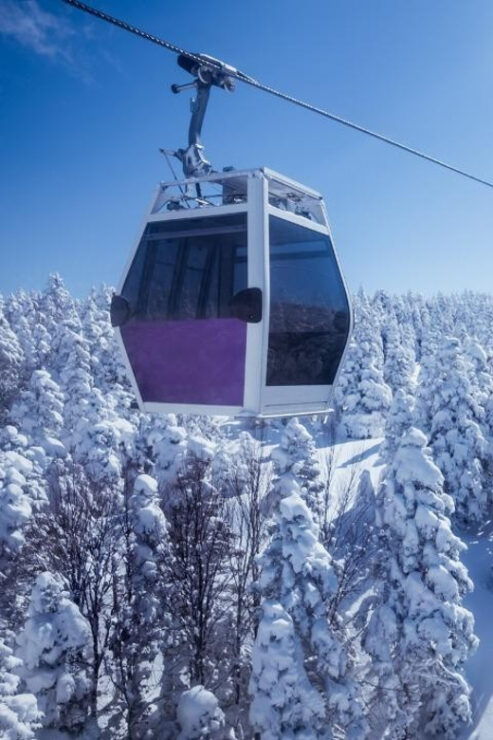 From Istanbul: Bursa Private Day Trip With Transfer - Itinerary Highlights