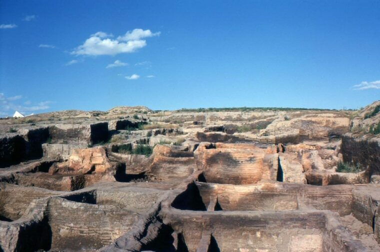 From Istanbul: Catalhoyuk & Konya Day Trip with Flights - Final Thoughts