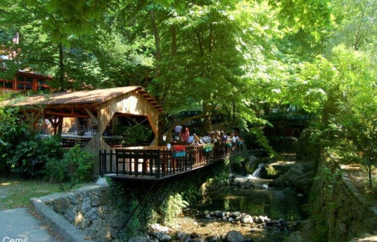 From Istanbul: Guided Day Trip to Sapanca and Masukiye - Activity Details