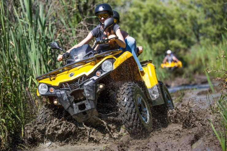 From Istanbul: Guided Day Trip to Sapanca and Masukiye - Experience Highlights