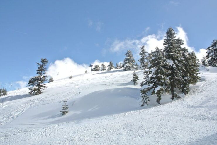 From Istanbul: Private Guided Tour to Bursa - Activity Details